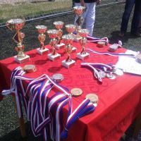 Sezóna 2012-2013